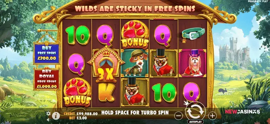 Untitled-design-2025-05-15T151819.852 screenshot of slot the dog house royal hunt gameplay