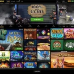 GoWild Casino Homepage