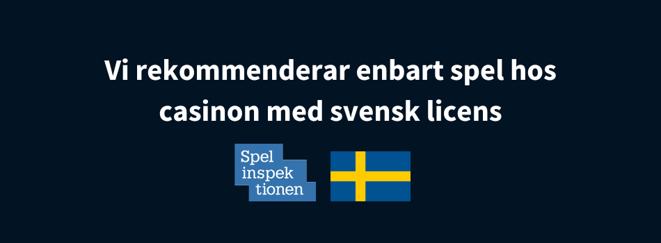 spelinspektionen logga, en svensk flagga och vit text på en svart bakgrund