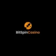 logo image for bitspin casino