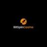 logo image for bitspin casino