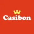 Logo image for Casibon