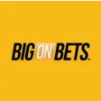 Logo image for Big On Bets Casino