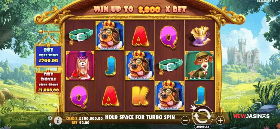 screenshot of slot the dog house royal hunt start of gameplay