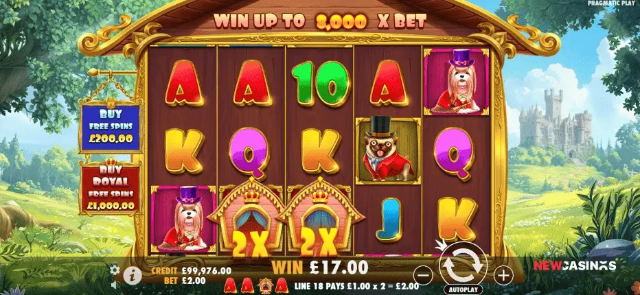 screenshot of slot the dog house royal hunt big win