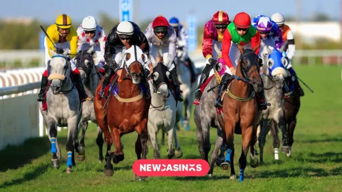 Multiple jockeys riding horses