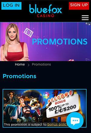 Blue Fox Casino
