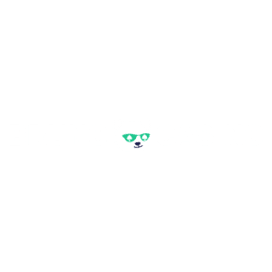 Logo de Bruno Casino