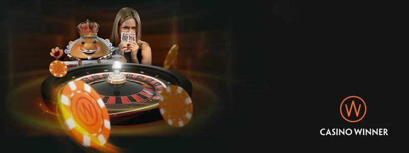 Casino Winner Banner