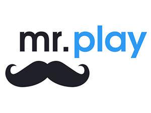 Mr Play Small Logo