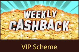 Mr Wolf Slots Vip