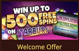 Mr Wolf Slots Offer