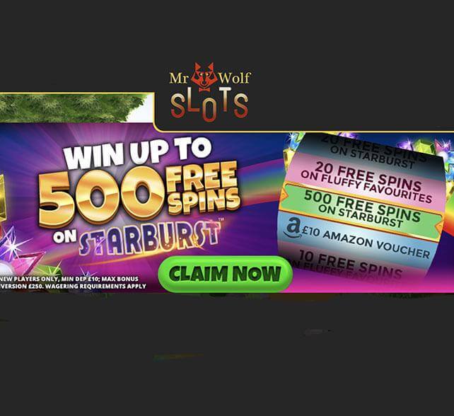 Mr Wolf Slots Bonus