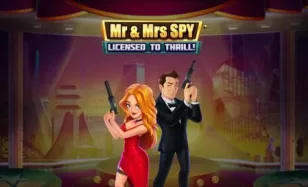 Mr Mrs Spy