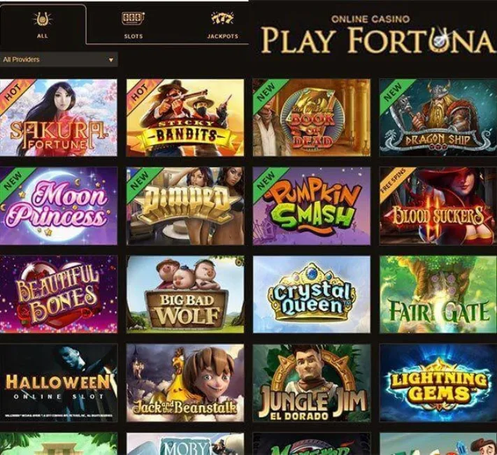 Play Fortuna Casino Games Selection