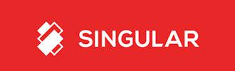 Singular Big Logo