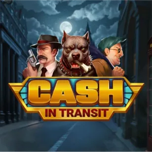 Cash in Transit Cash in Transit