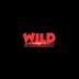 Wild Spinner Image for Wild Spinner