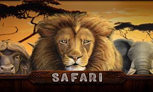 Safari 