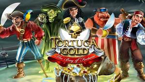 Tortuga Gold 